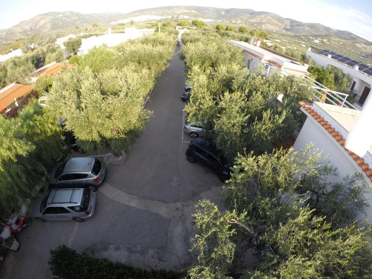 Residence Adriatico Mattinata Exteriér fotografie